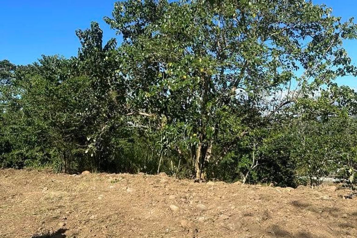 Land for Sale in Balulang, Cagayan de Oro, Misamis Oriental – photo 3