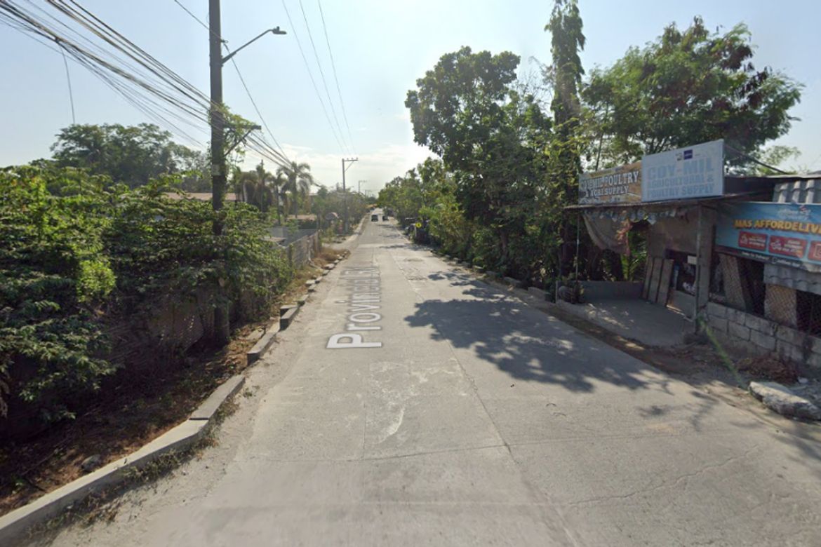 Land for Sale in Balungao, Calumpit, Bulacan – photo 3