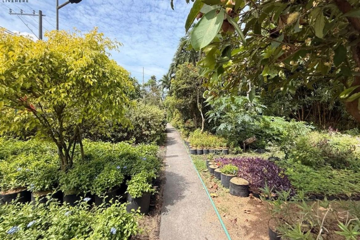 Land for Sale in Balungao, Calumpit, Bulacan
