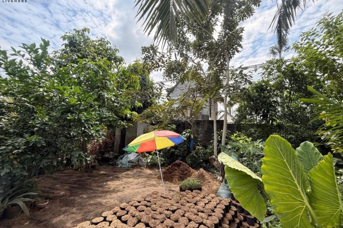 Land for Sale in Balungao, Calumpit, Bulacan – photo 2