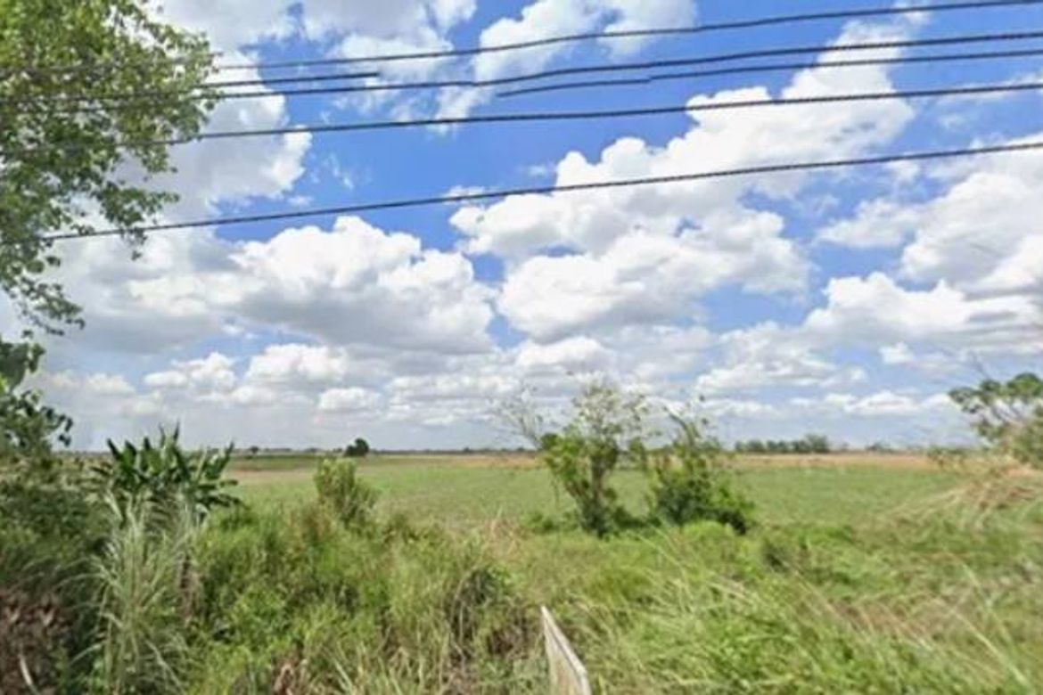 Land for Sale in Balutu, Concepcion, Tarlac – photo 2