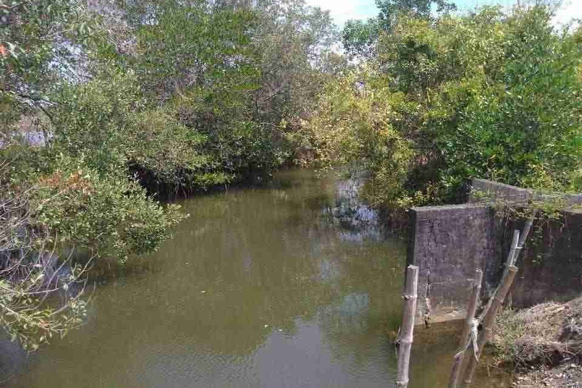 Land for Sale in Bamban, Masinloc, Zambales – photo 4