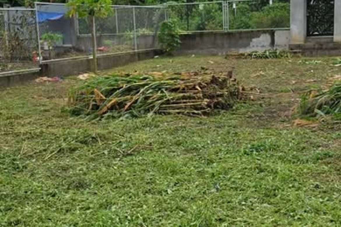 Land for Sale in Banaba Cerca, Indang, Cavite – photo 8
