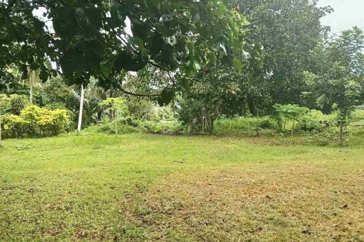 Land for Sale in Banaba Cerca, Indang, Cavite – photo 2