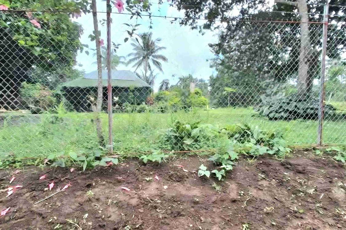 Land for Sale in Banaba Cerca, Indang, Cavite – photo 4