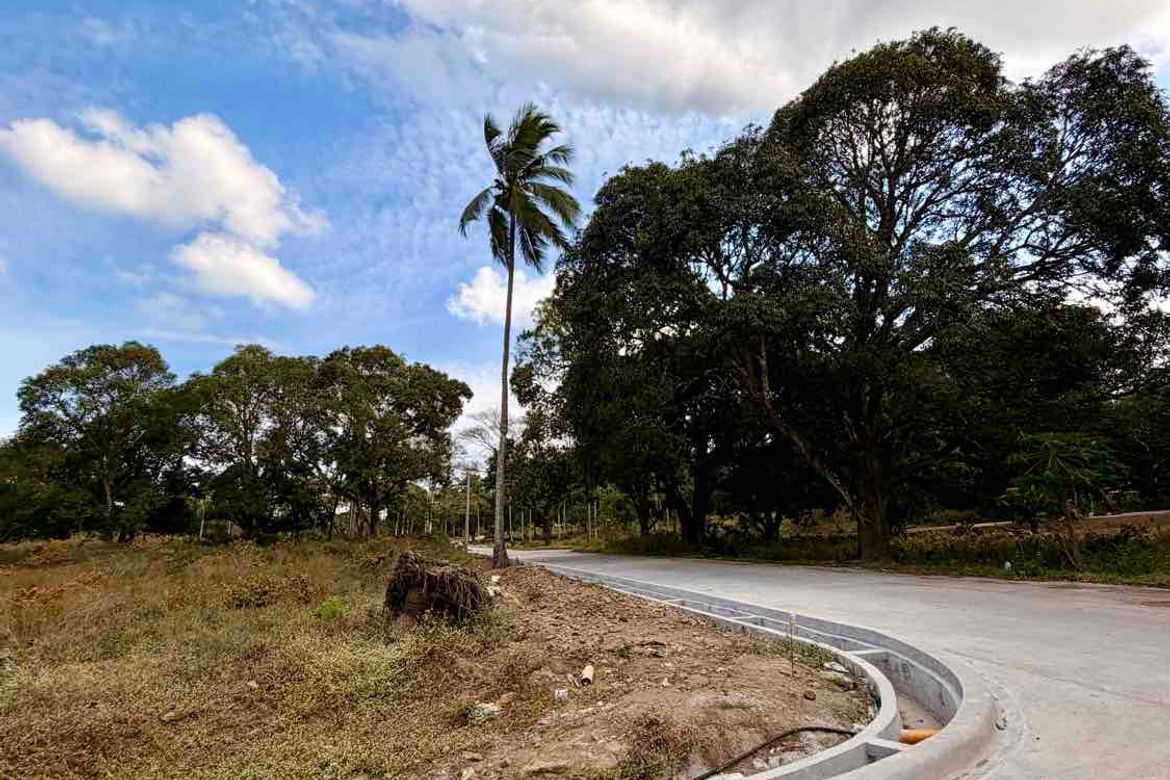 Land for Sale in Banaba Lejos, Indang, Cavite – photo 2