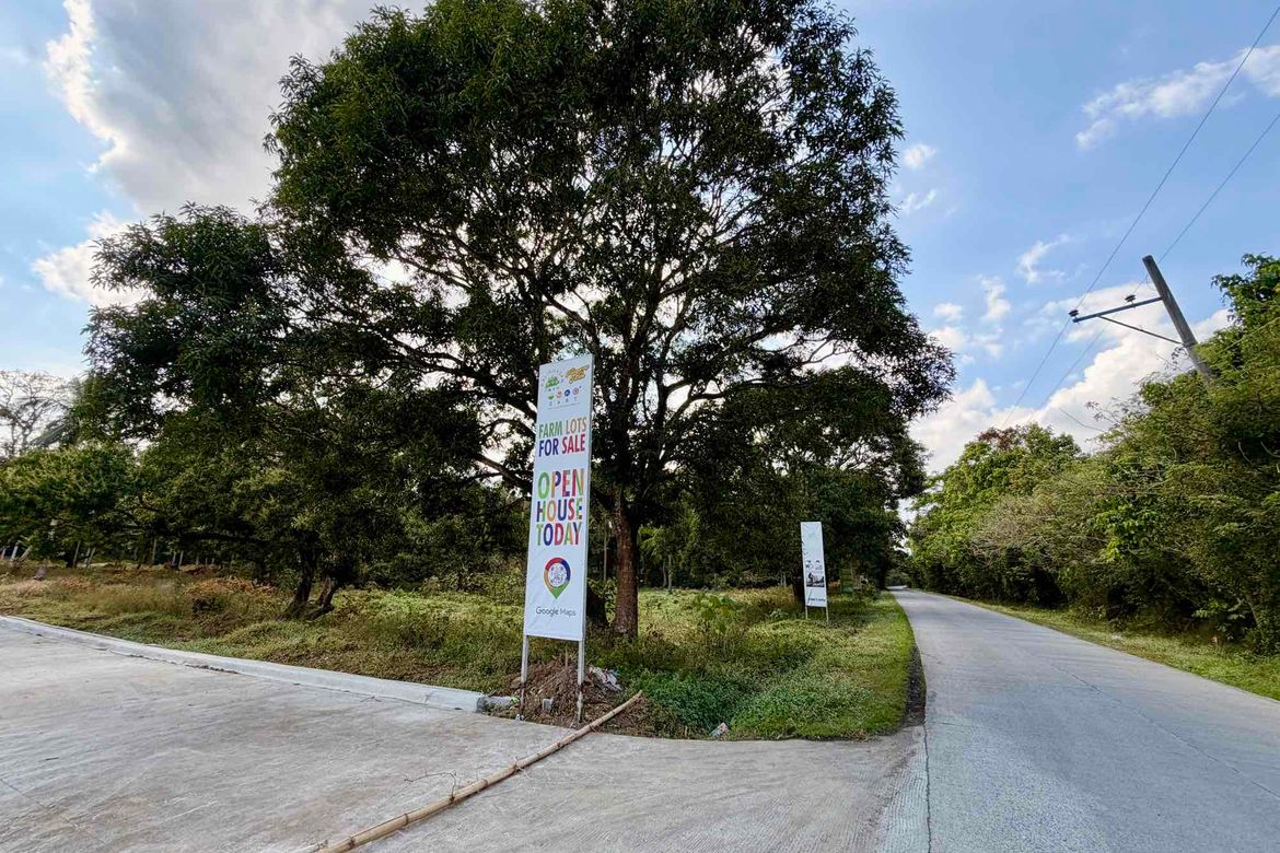Land for Sale in Banaba Lejos, Indang, Cavite – photo 3