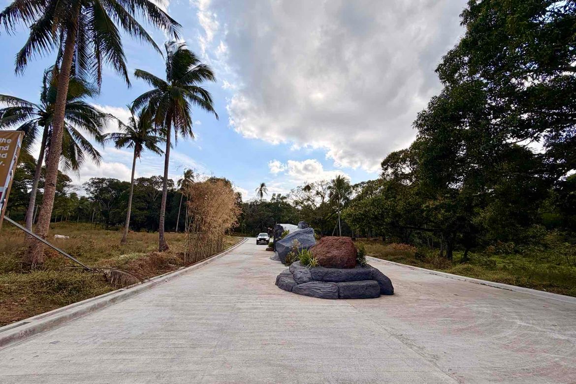 Land for Sale in Banaba Lejos, Indang, Cavite – photo 4