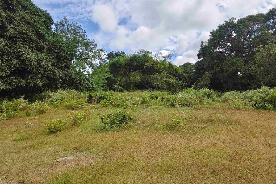 Land for Sale in Banaba Lejos, Indang, Cavite – photo 2