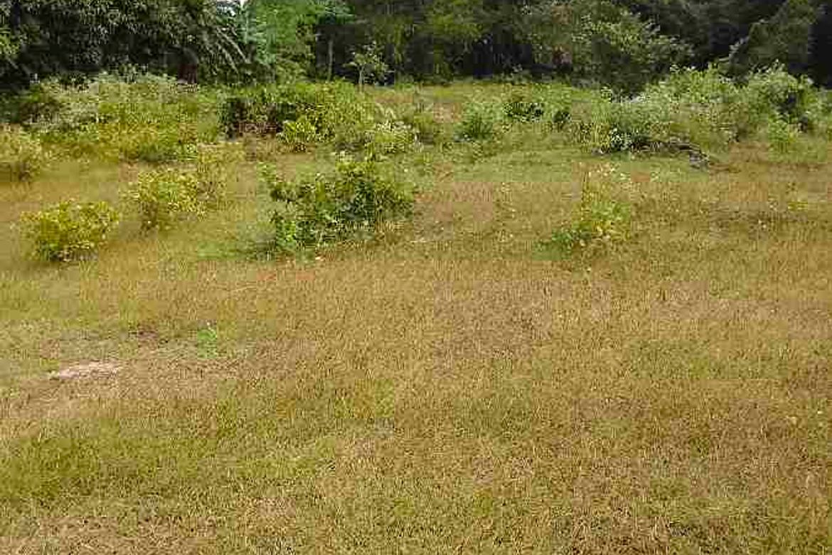 Land for Sale in Banaba Lejos, Indang, Cavite – photo 3