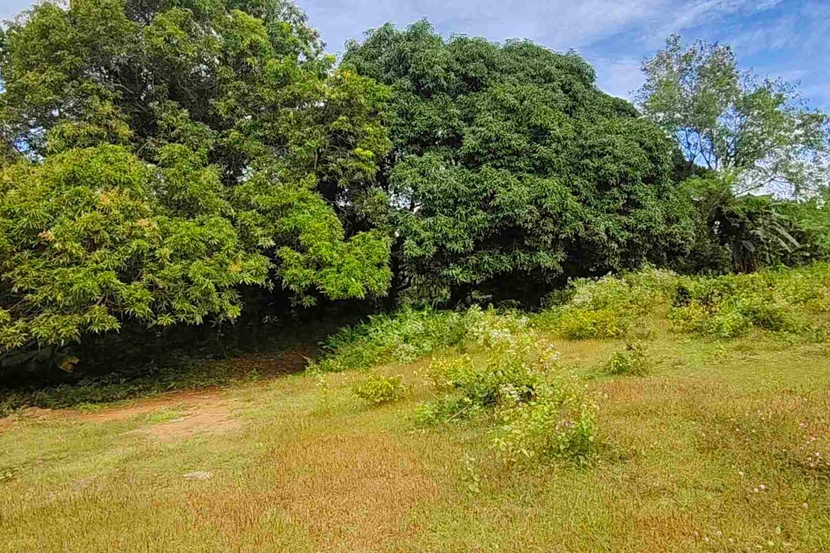 Land for Sale in Banaba Lejos, Indang, Cavite – photo 4