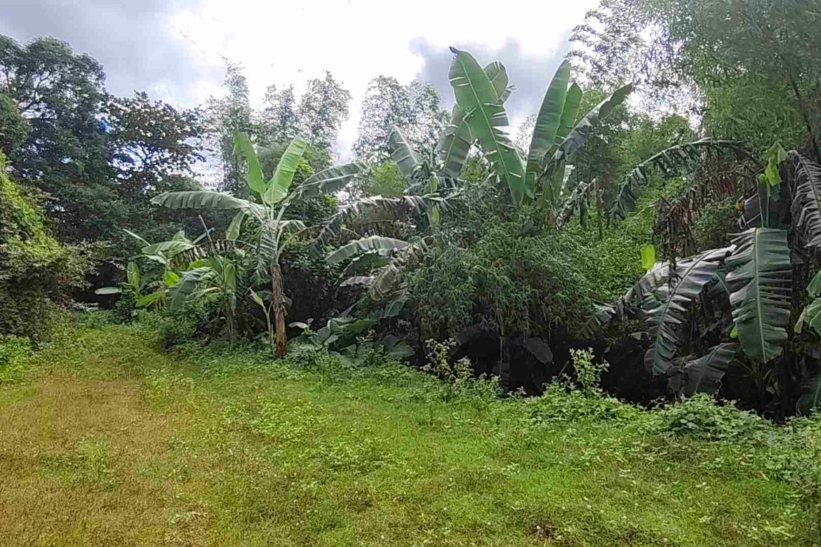 Land for Sale in Banaba Lejos, Indang, Cavite – photo 5