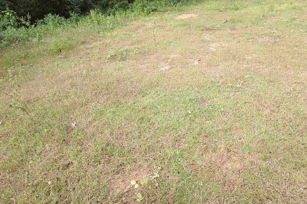 Land for Sale in Banaba Lejos, Indang, Cavite – photo 7