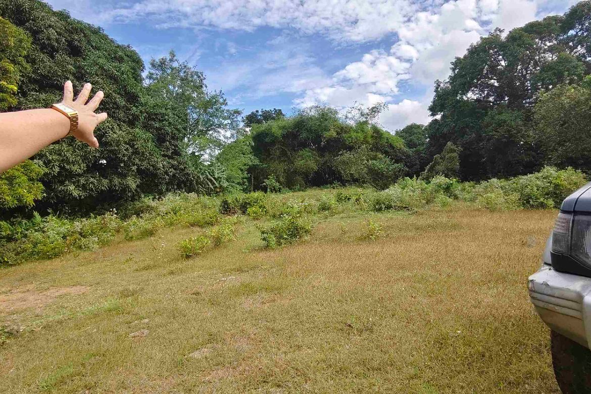Land for Sale in Banaba Lejos, Indang, Cavite – photo 8