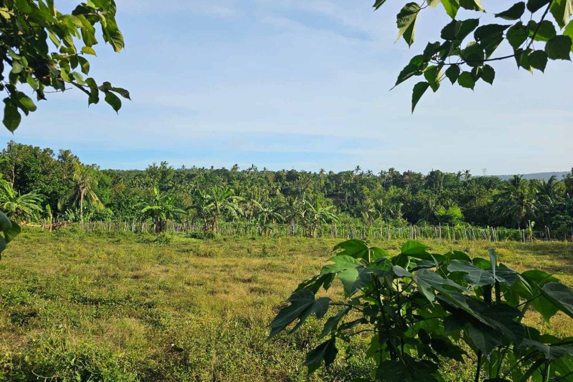 Land for Sale in Banadero, Tanauan, Batangas – photo 4