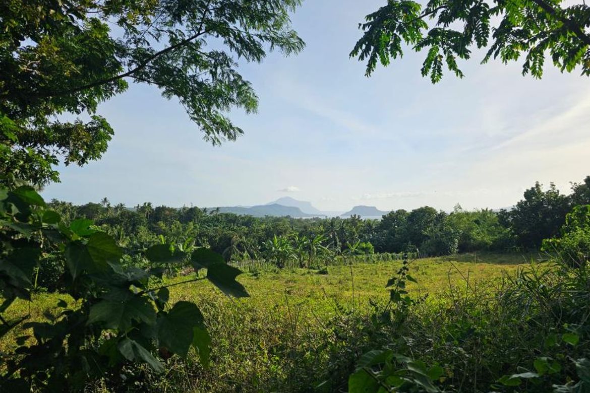 Land for Sale in Banadero, Tanauan, Batangas