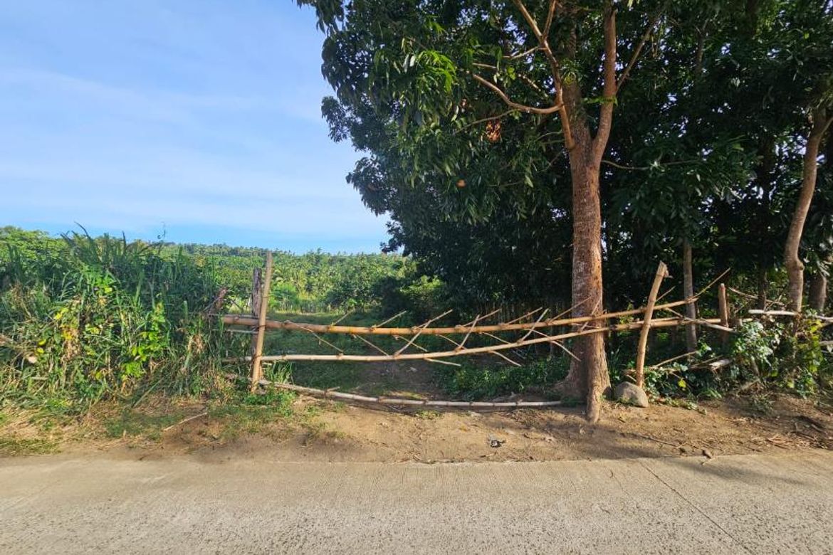 Land for Sale in Banadero, Tanauan, Batangas – photo 2
