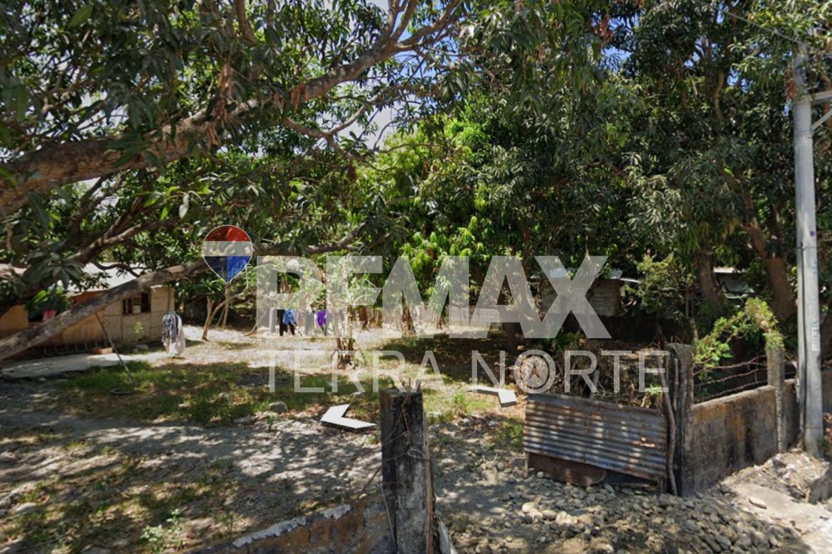 Land for Sale in Banaoang, Mangaldan, Pangasinan – photo 4