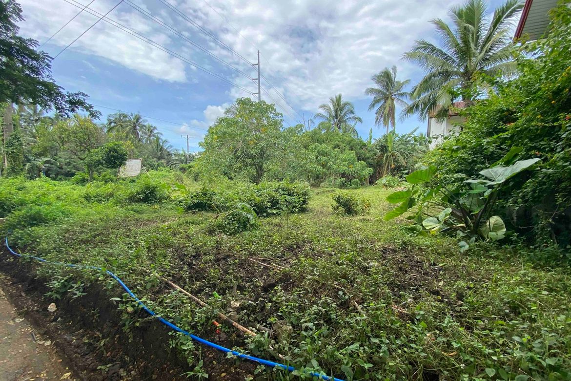 Land for Sale in Banaybanay, Amadeo, Cavite – photo 4
