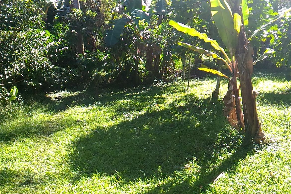 Land for Sale in Banaybanay, Amadeo, Cavite – photo 2