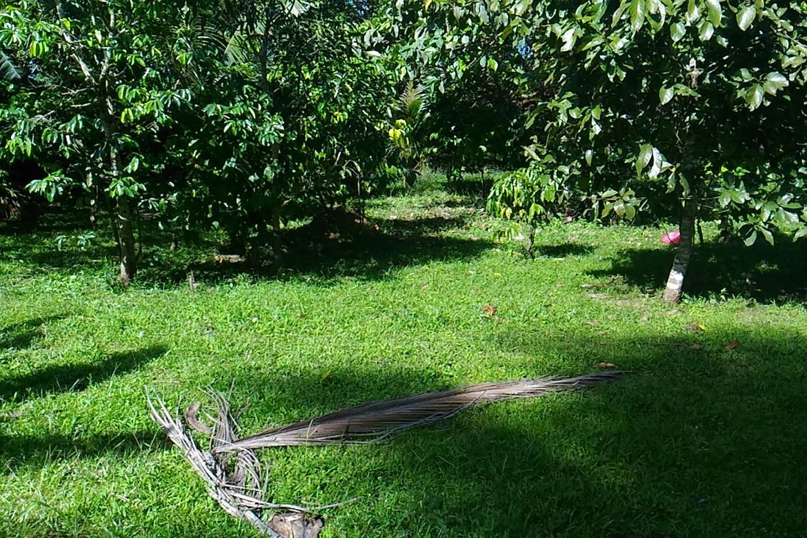 Land for Sale in Banaybanay, Amadeo, Cavite – photo 4