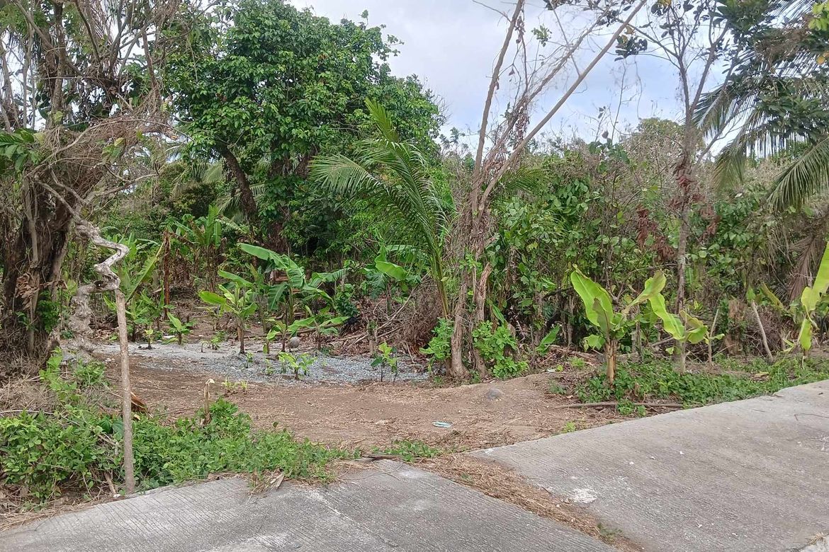 Land for Sale in Banaybanay, Amadeo, Cavite