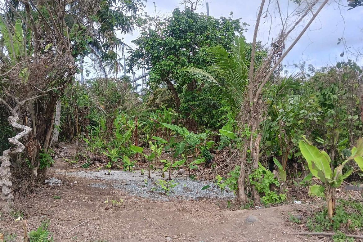Land for Sale in Banaybanay, Amadeo, Cavite – photo 2