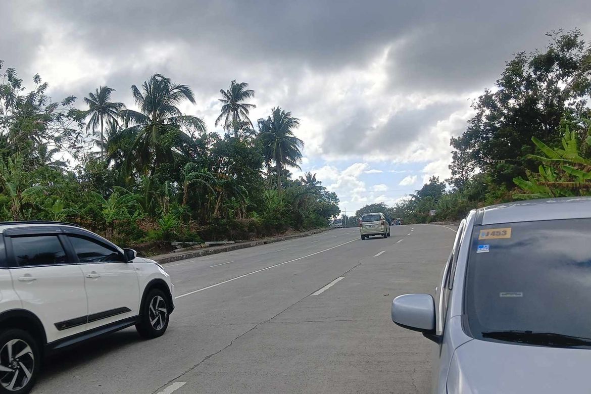 Land for Sale in Banaybanay, Amadeo, Cavite – photo 4
