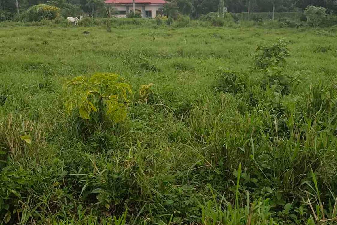 Land for Sale in Banaybanay, Lipa, Batangas – photo 4
