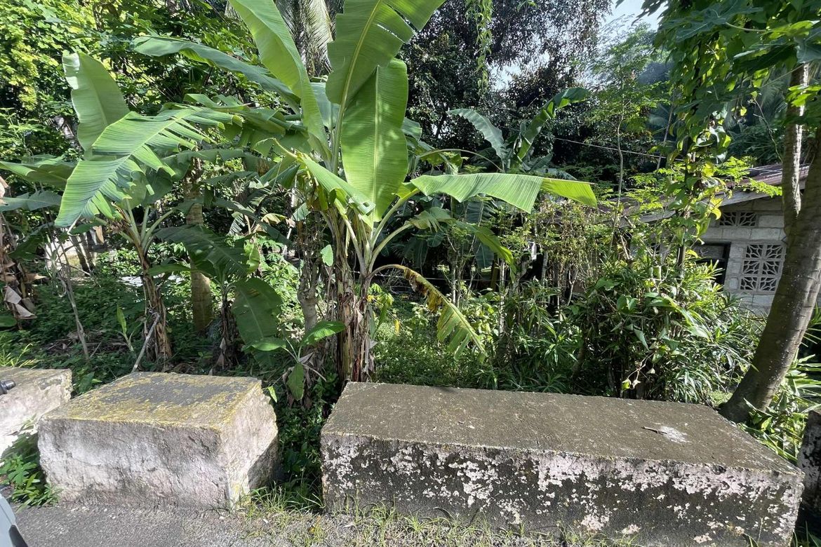 Land for Sale in Banban, Siquijor, Siquijor