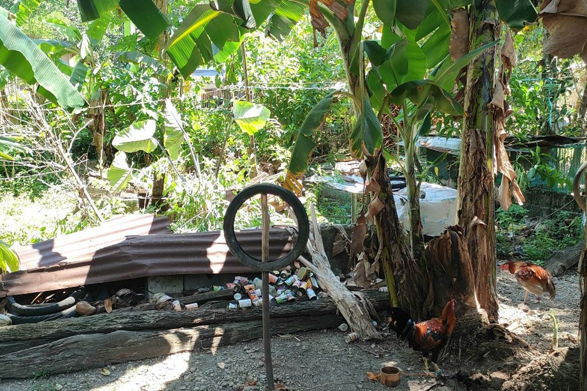 Land for Sale in Banban, Siquijor, Siquijor – photo 5