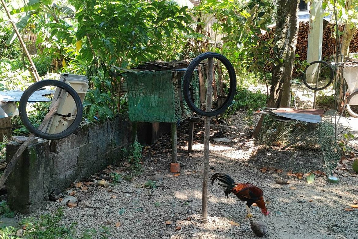 Land for Sale in Banban, Siquijor, Siquijor – photo 6