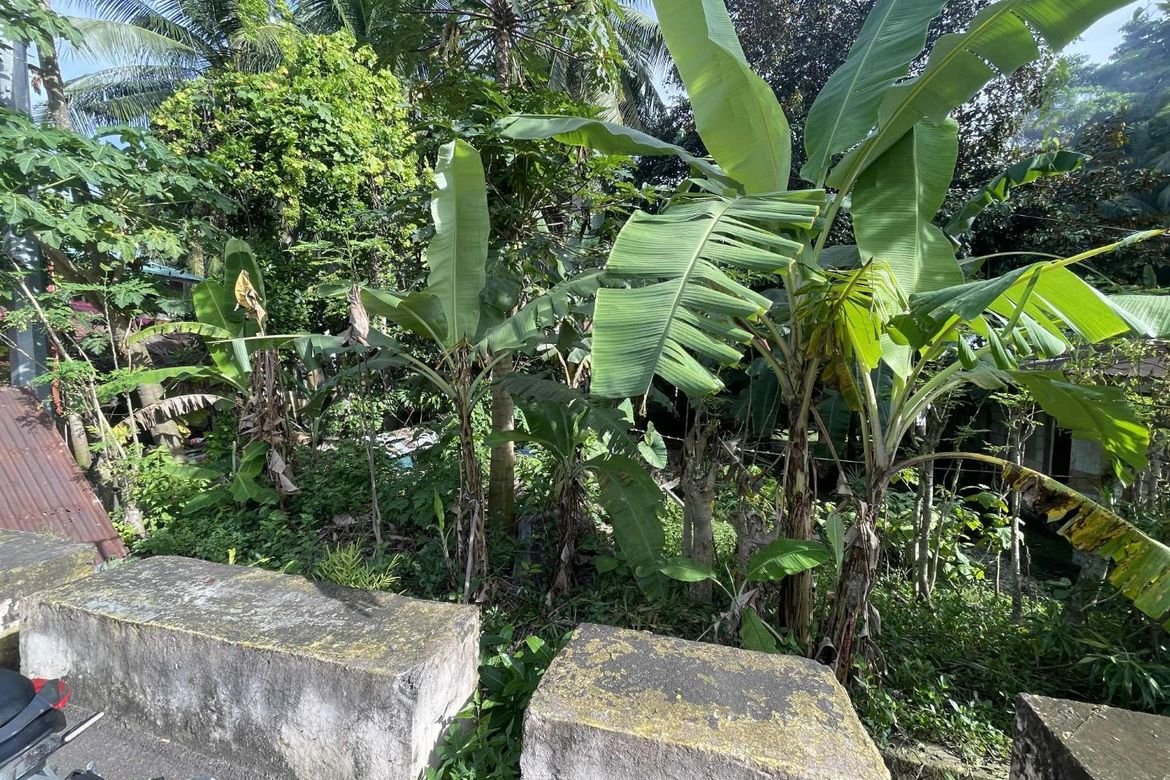Land for Sale in Banban, Siquijor, Siquijor – photo 7