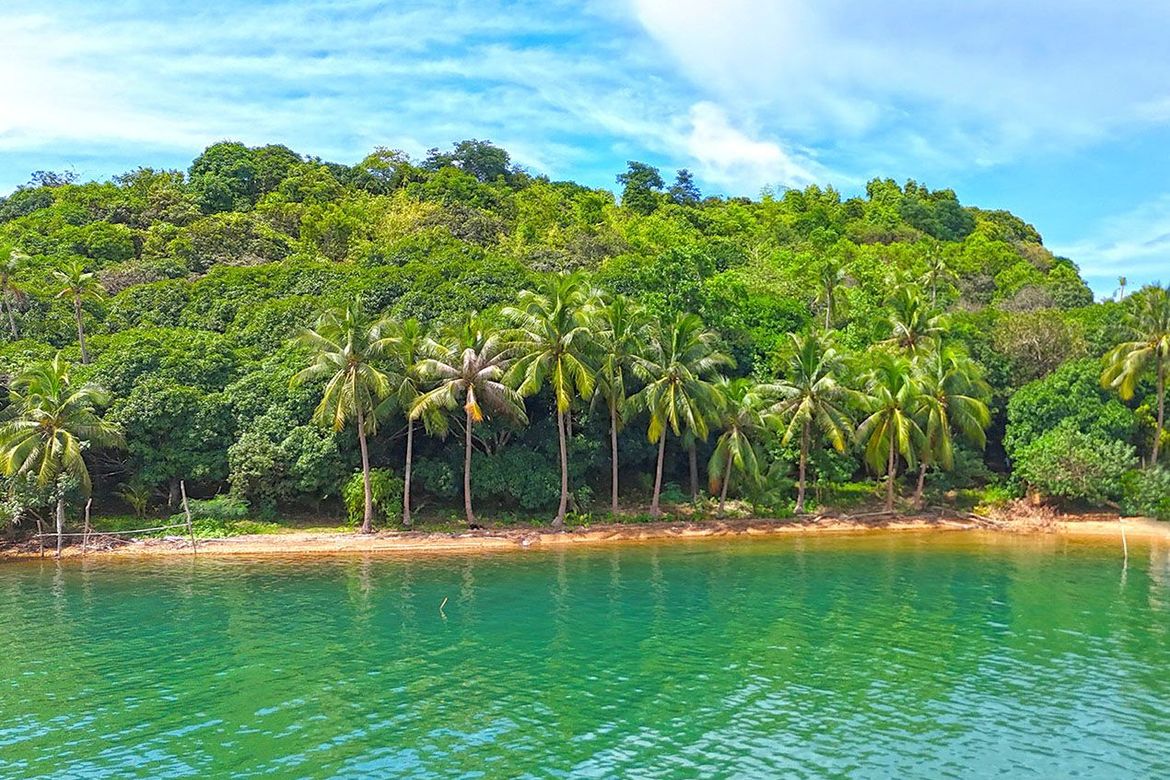 Land for Sale in Banbanan, Taytay, Palawan – photo 3