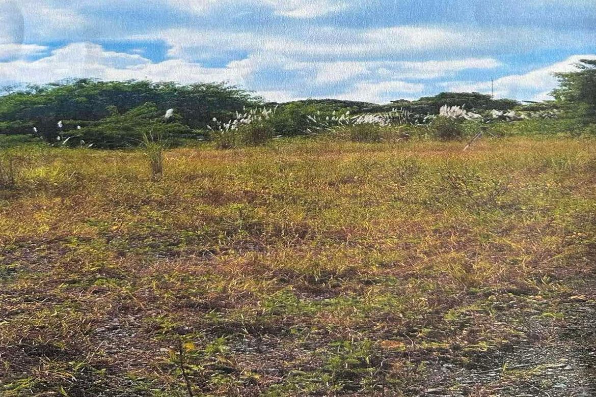 Land for Sale in Bancal, Carmona, Cavite – photo 2