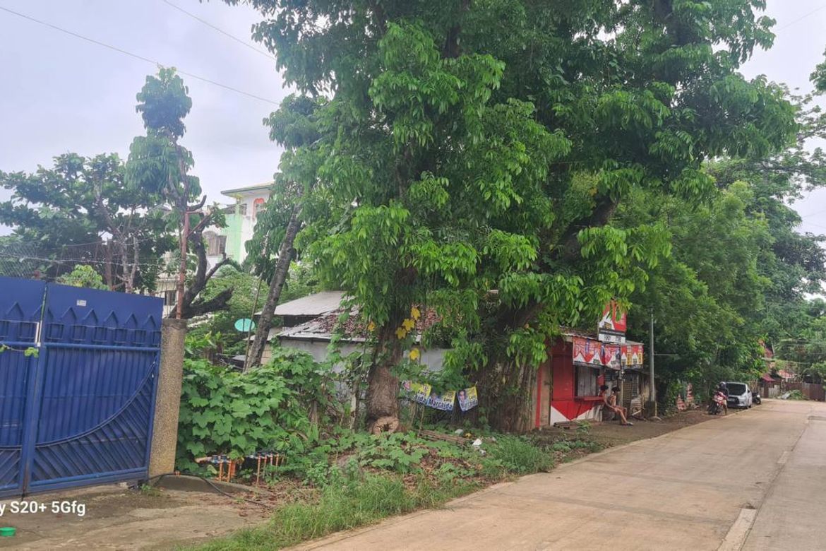 Land for Sale in Bancao-Bancao, Puerto Princesa, Palawan – photo 2