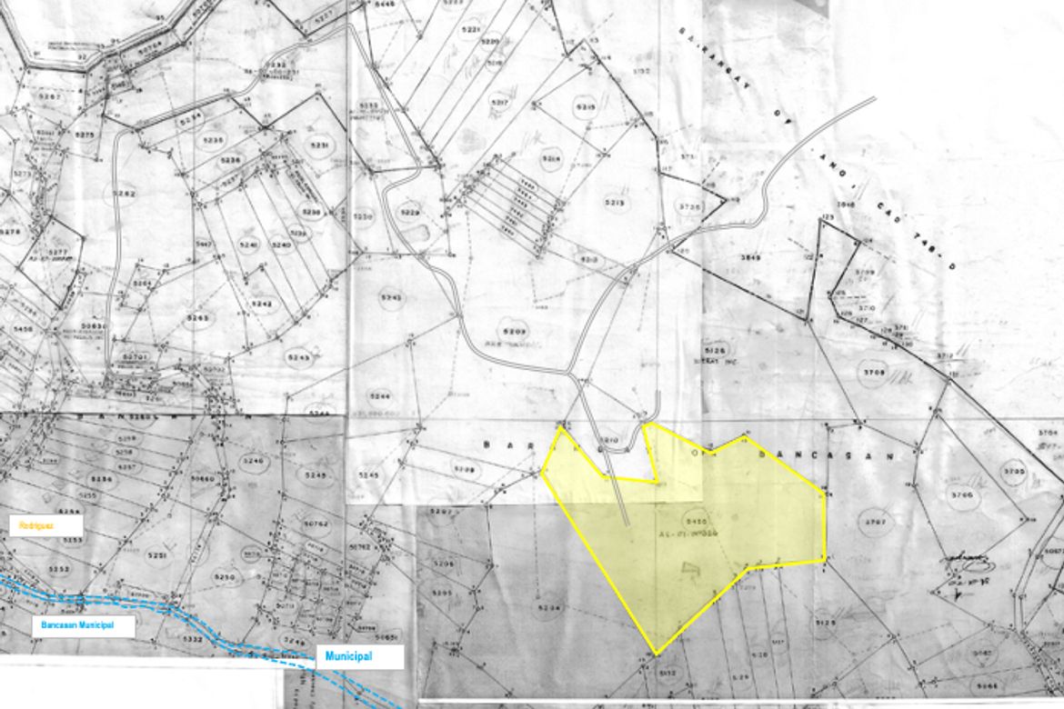 Land for Sale in Bancasan, San Remigio, Cebu – photo 3