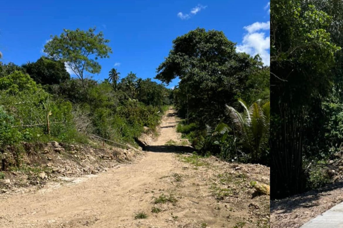 Land for Sale in Bandera, Samal, Davao del Norte – photo 2