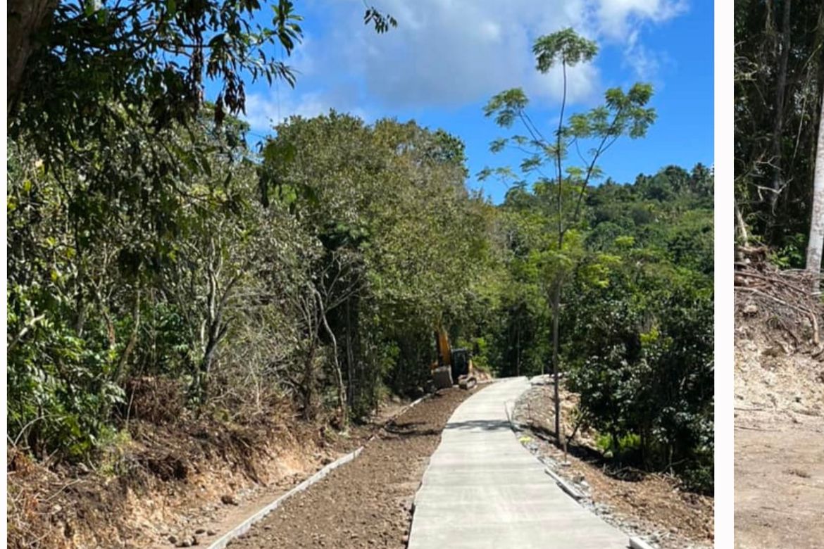 Land for Sale in Bandera, Samal, Davao del Norte – photo 3