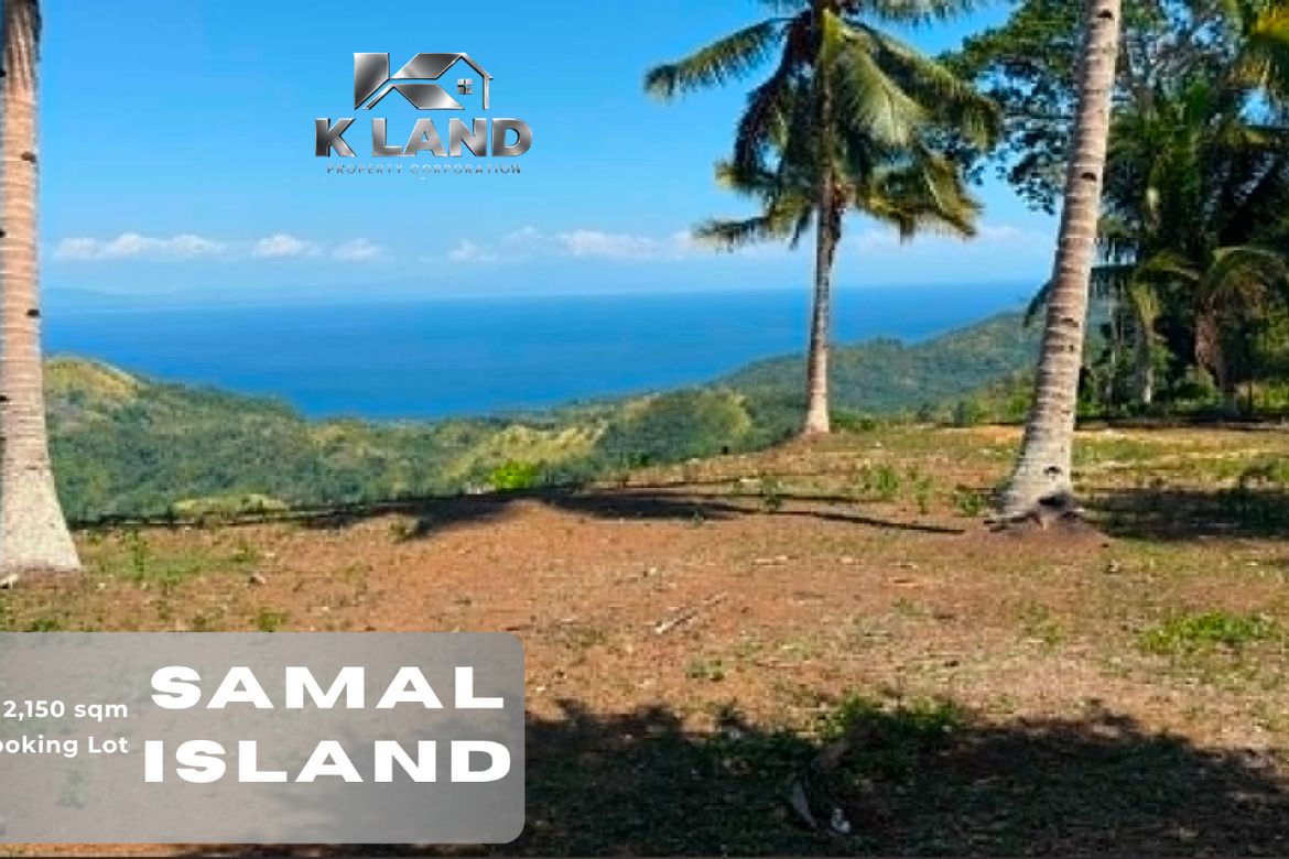 Land for Sale in Bandera, Samal, Davao del Norte