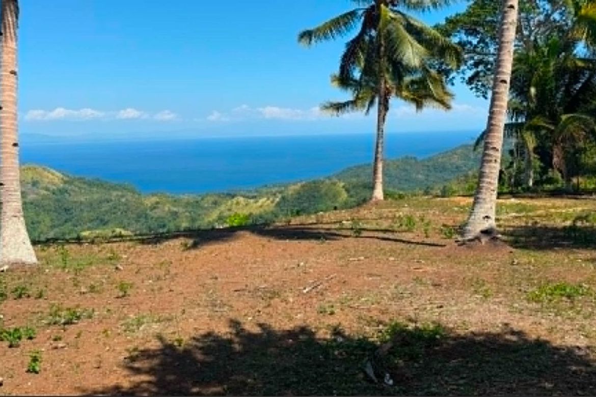 Land for Sale in Bandera, Samal, Davao del Norte – photo 4
