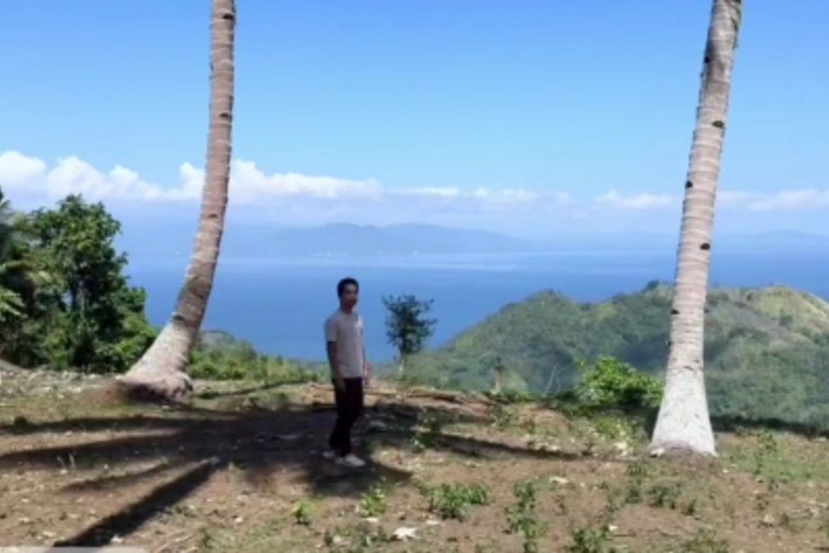 Land for Sale in Bandera, Samal, Davao del Norte – photo 7