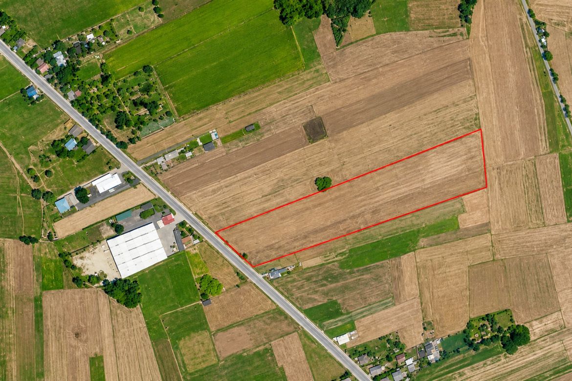 Land for Sale in Bangar, Victoria, Tarlac – photo 2