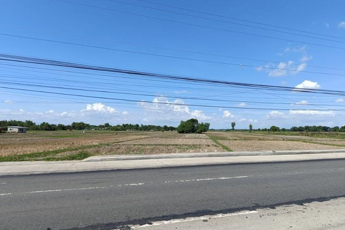 Land for Sale in Bangar, Victoria, Tarlac – photo 4