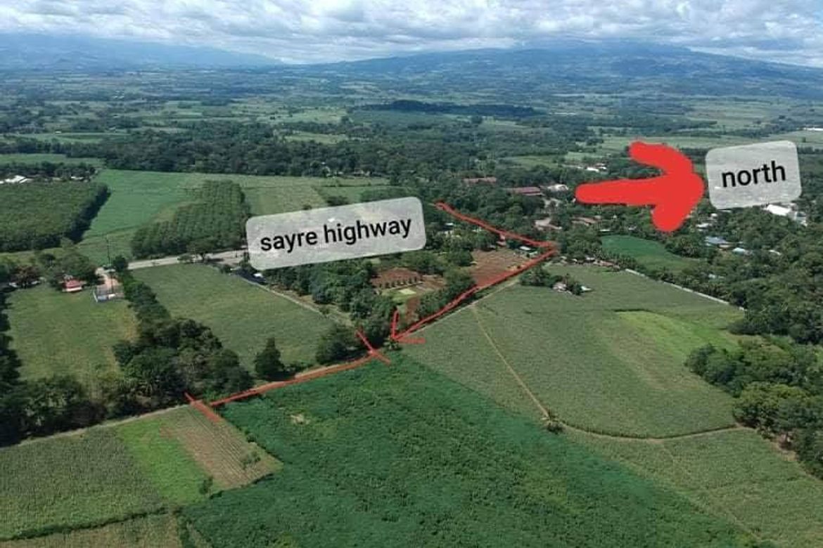 Land for Sale in Bangcud, Malaybalay, Bukidnon – photo 4