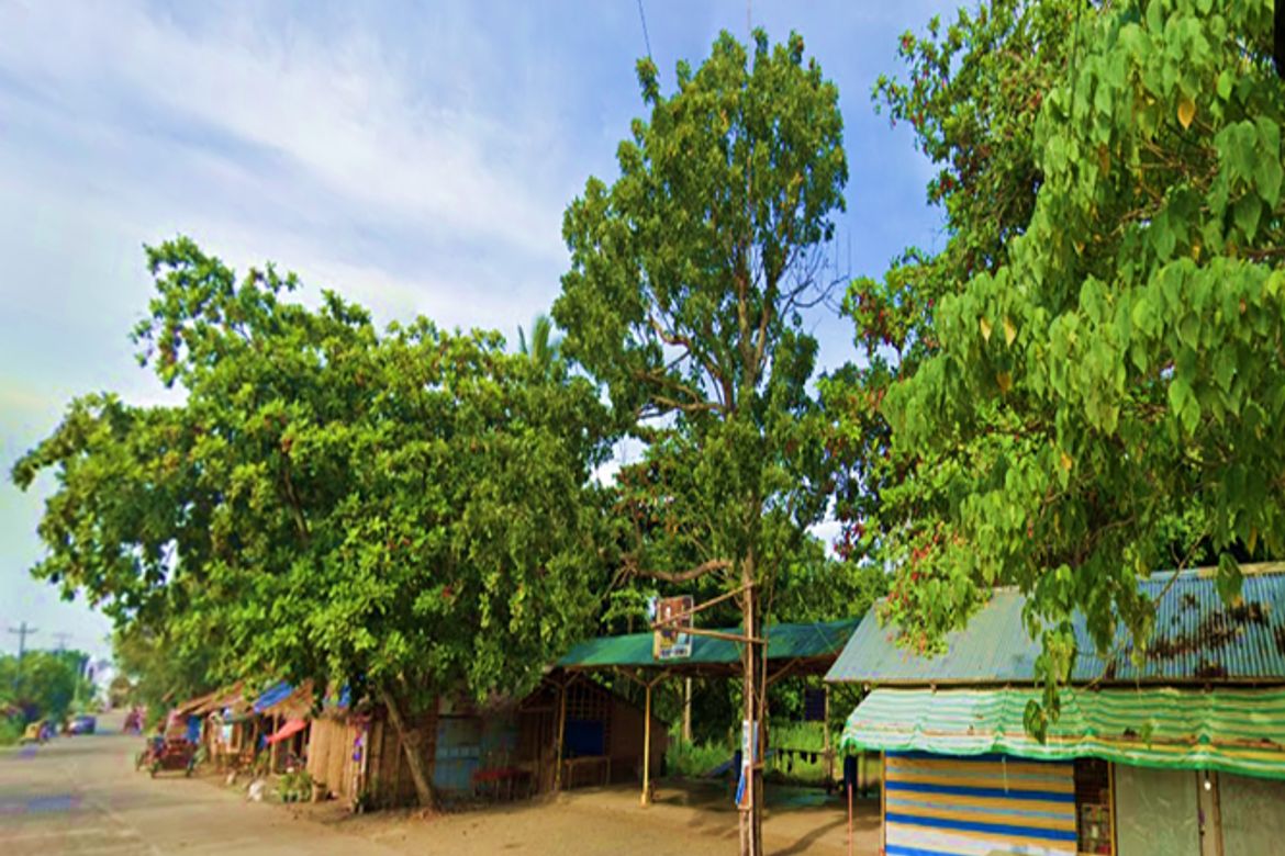 Land for Sale in Banica, Roxas, Capiz – photo 2