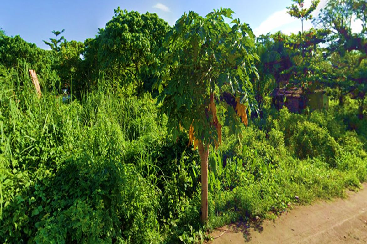 Land for Sale in Banica, Roxas, Capiz – photo 4