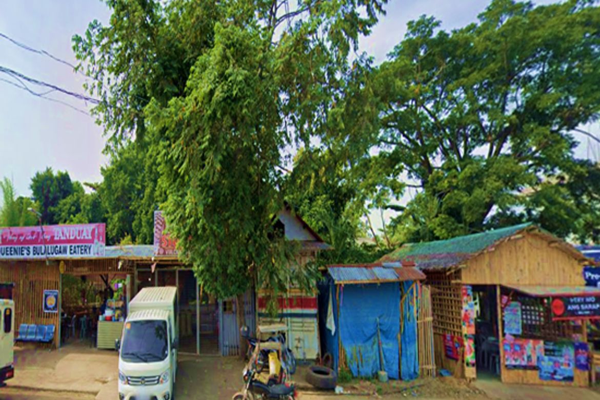 Land for Sale in Banica, Roxas, Capiz – photo 6