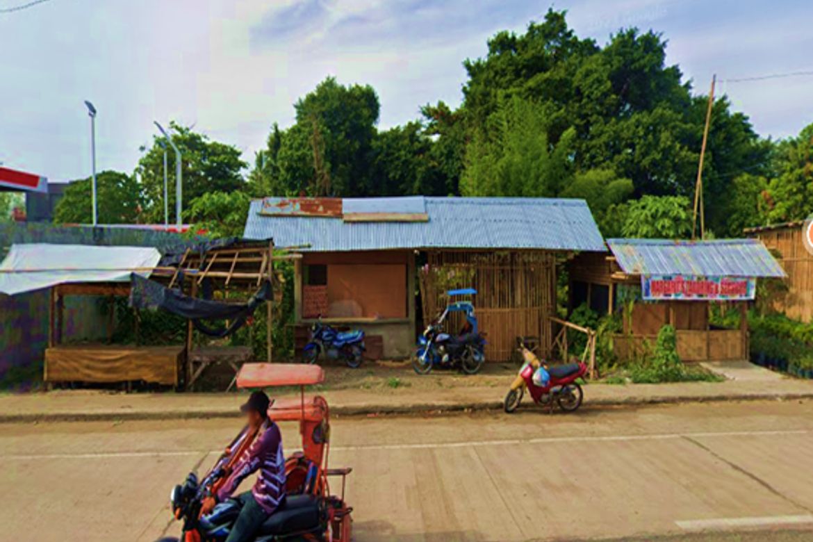 Land for Sale in Banica, Roxas, Capiz – photo 7