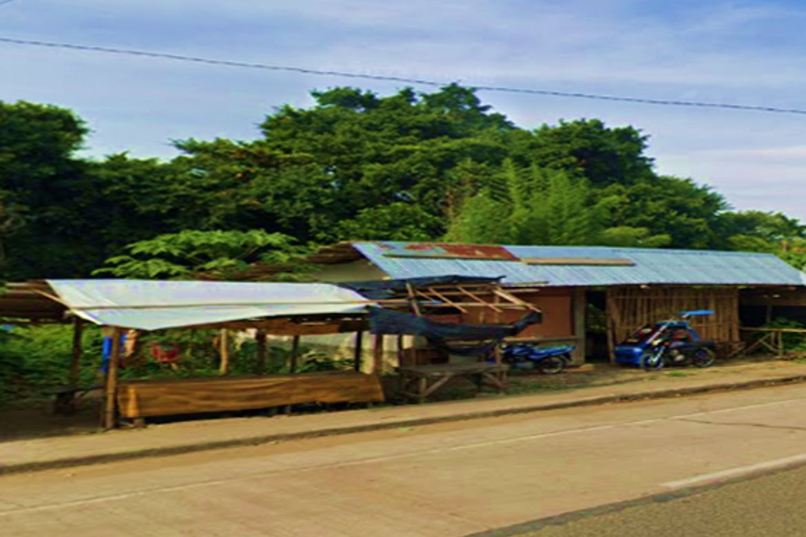 Land for Sale in Banica, Roxas, Capiz – photo 8